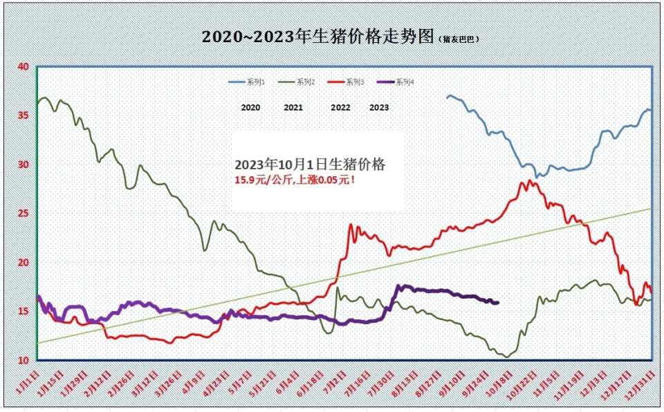 最新猪价走势分析与趋势预测