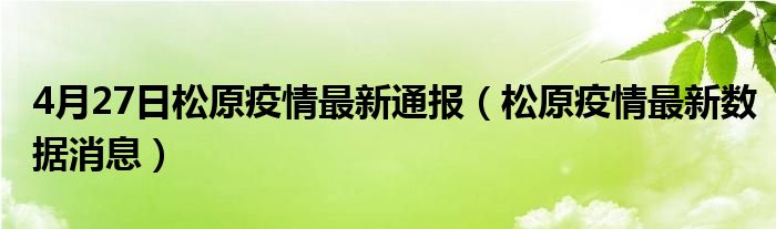 松原疫情最新通报更新，疫情动态及防控措施解析