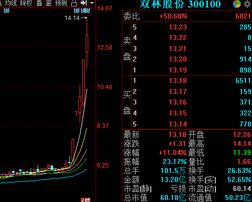 双林股份最新动态全面解析