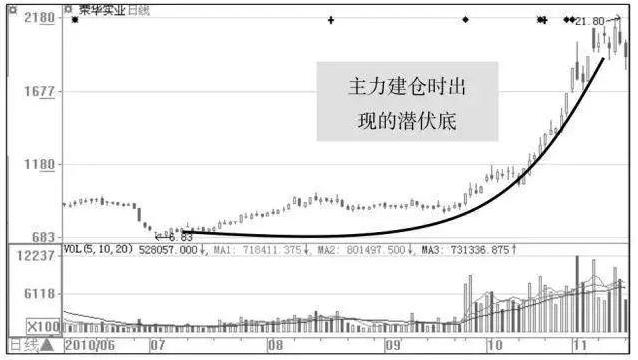 荣华实业最新动态解析，聚焦关键要点深入探讨