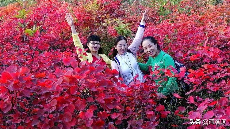 重阳佳节秋意浓，传承与庆祝的温馨时刻