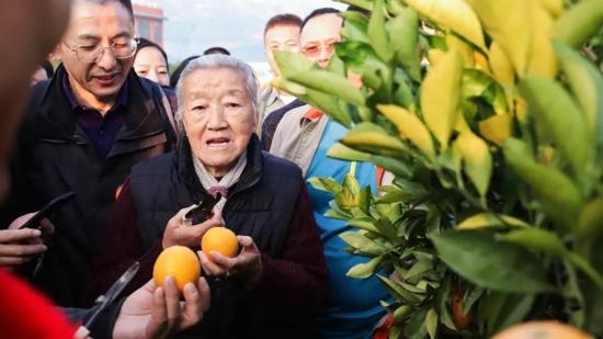 哀牢山未来半月徒步团，科技赋能，探索无界，名额已满！